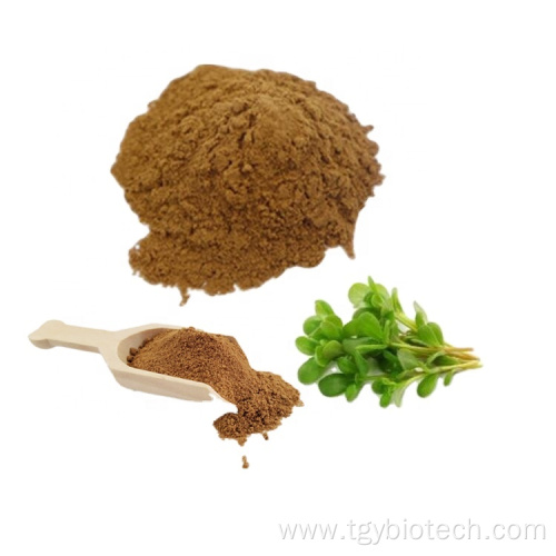 Wholesale High Quality Portulaca Extract Powder